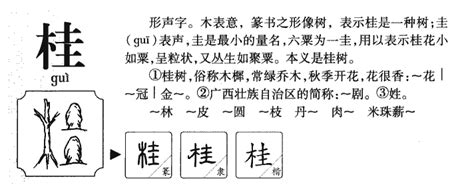 桂 意思|桂的意思